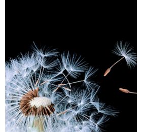 Стеновая панель Фартуки KMMR